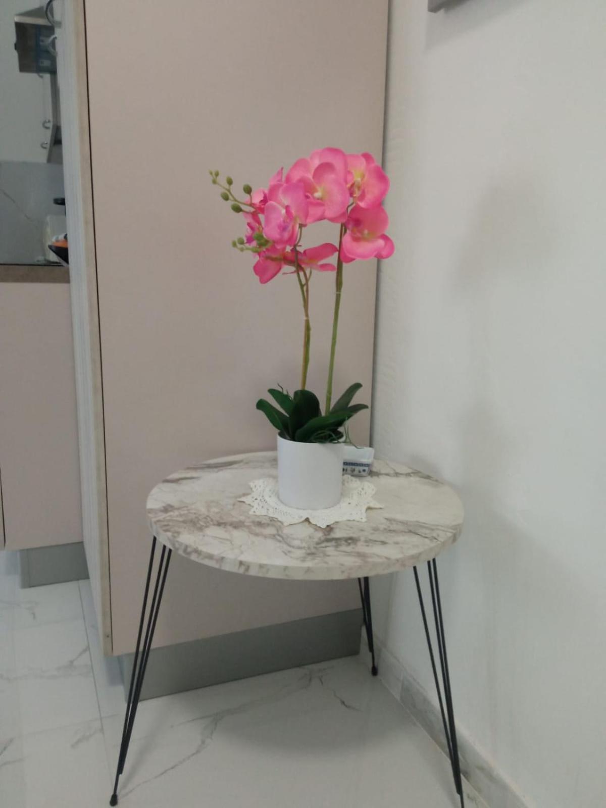 סנרמו Wh - Dolce Vita - Bilocale - 5 Minuti Dal Centro - Parcheggio Gratuito - Wifi מראה חיצוני תמונה
